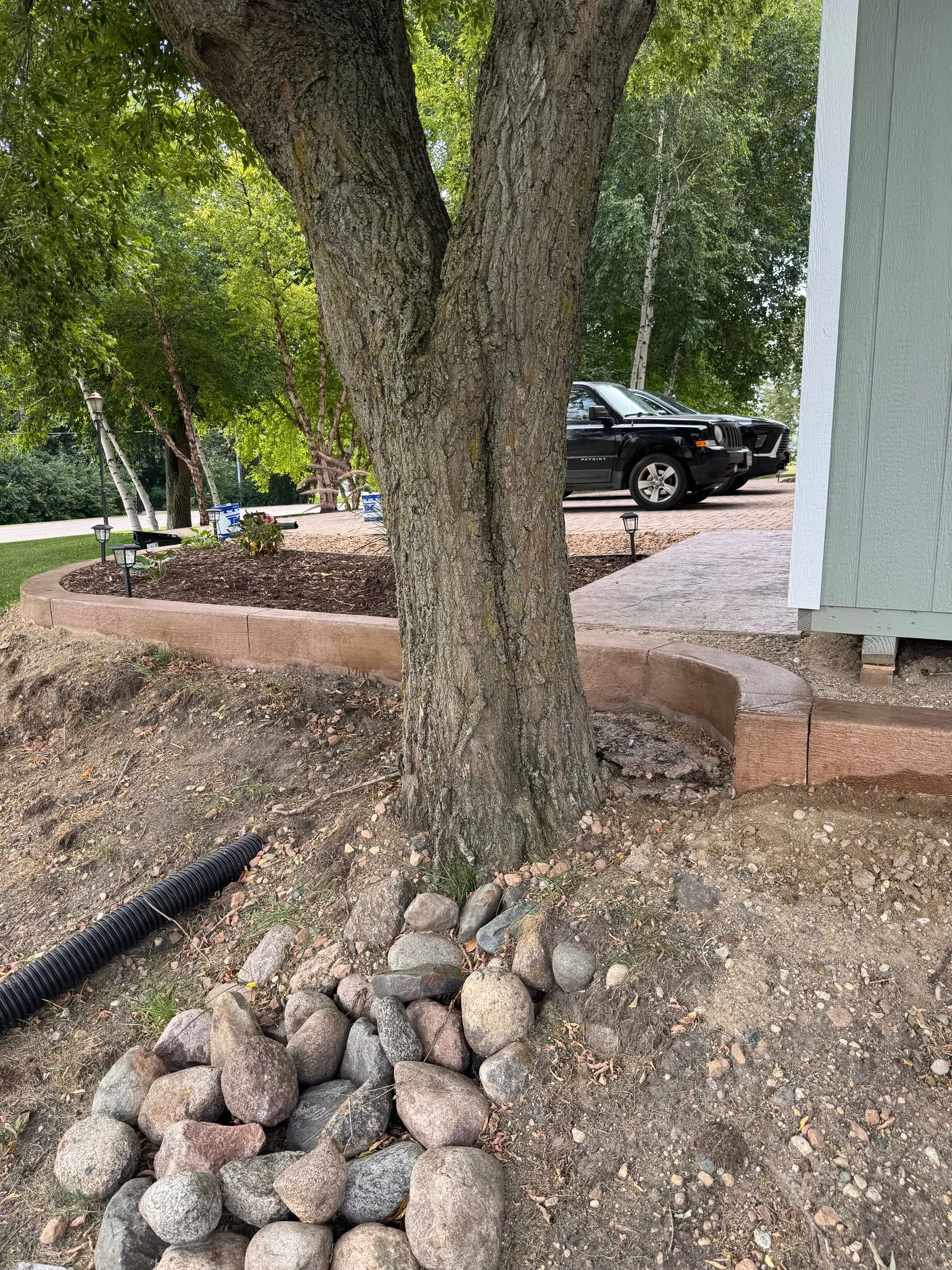 Stone and edging detail around a mature tree.