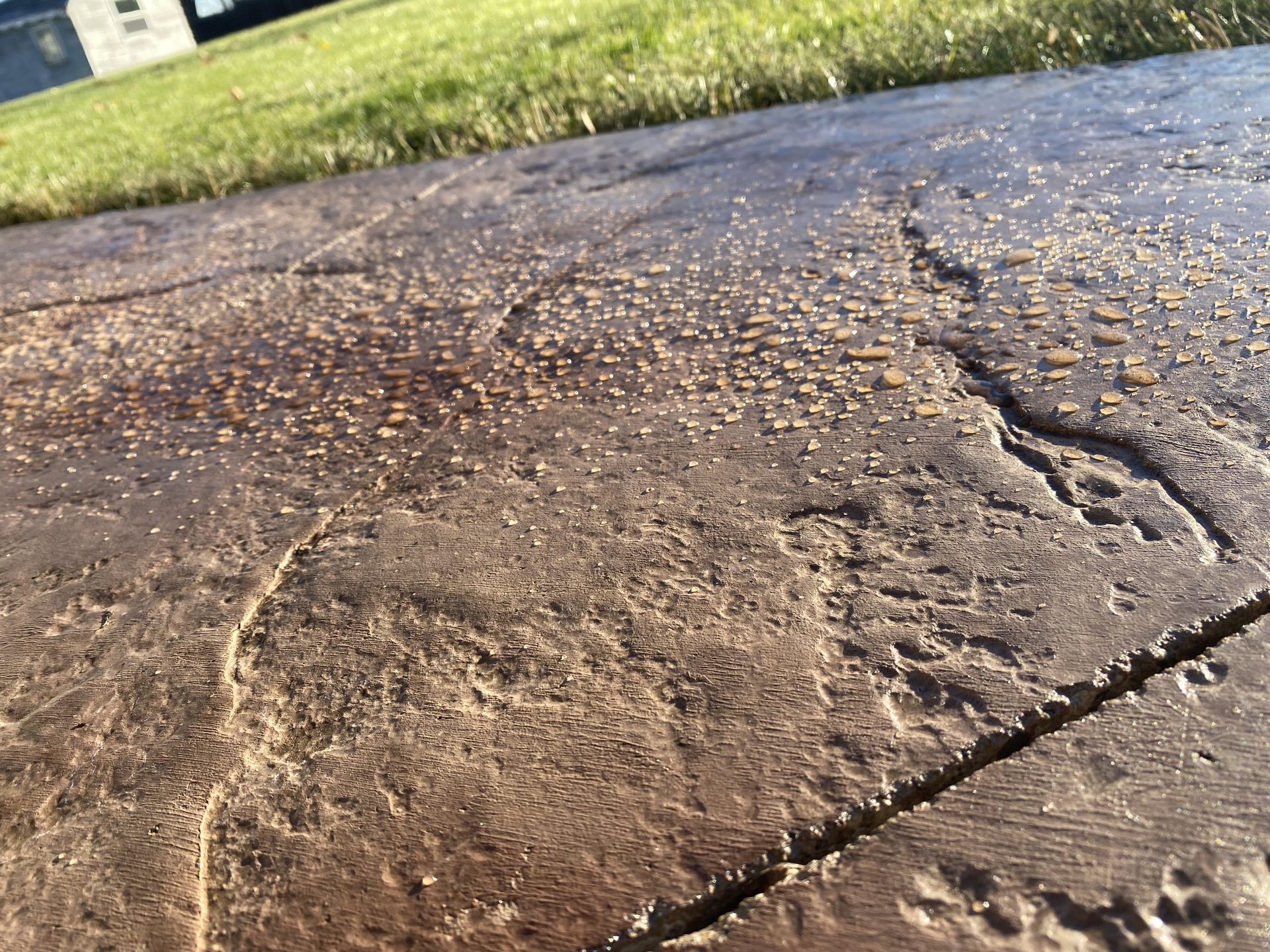 Finished concrete driveway with broom finish texture and control joints, adjacent to manicured lawn.